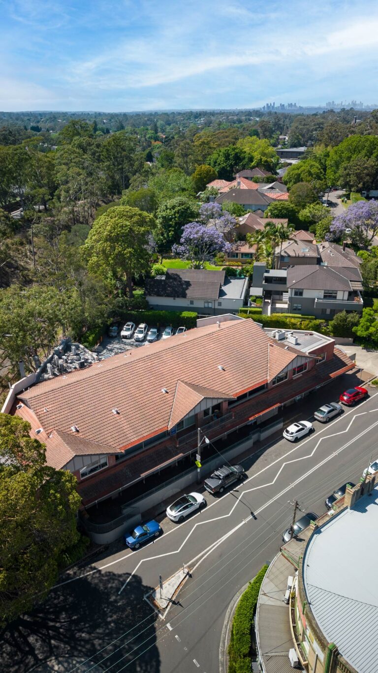 Aerial view of a residential neighbourhood with tile-roofed buildings, parked cars along the street, trees with purple flowers, and a distant city skyline under a blue sky.