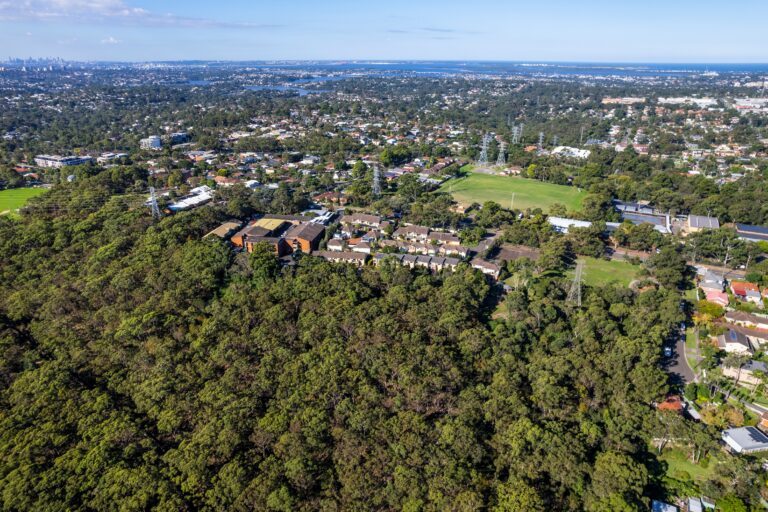 Aerial view of a suburban neighborhood bordered by a dense forest, with houses, roads, parks, and distant cityscape visible under a clear sky.