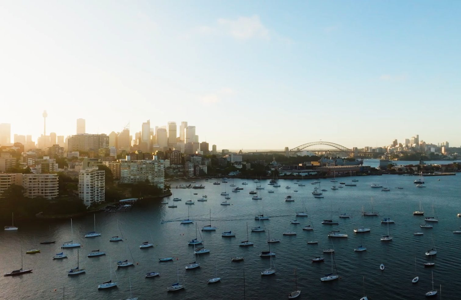 Sydney Harbour at golden hour