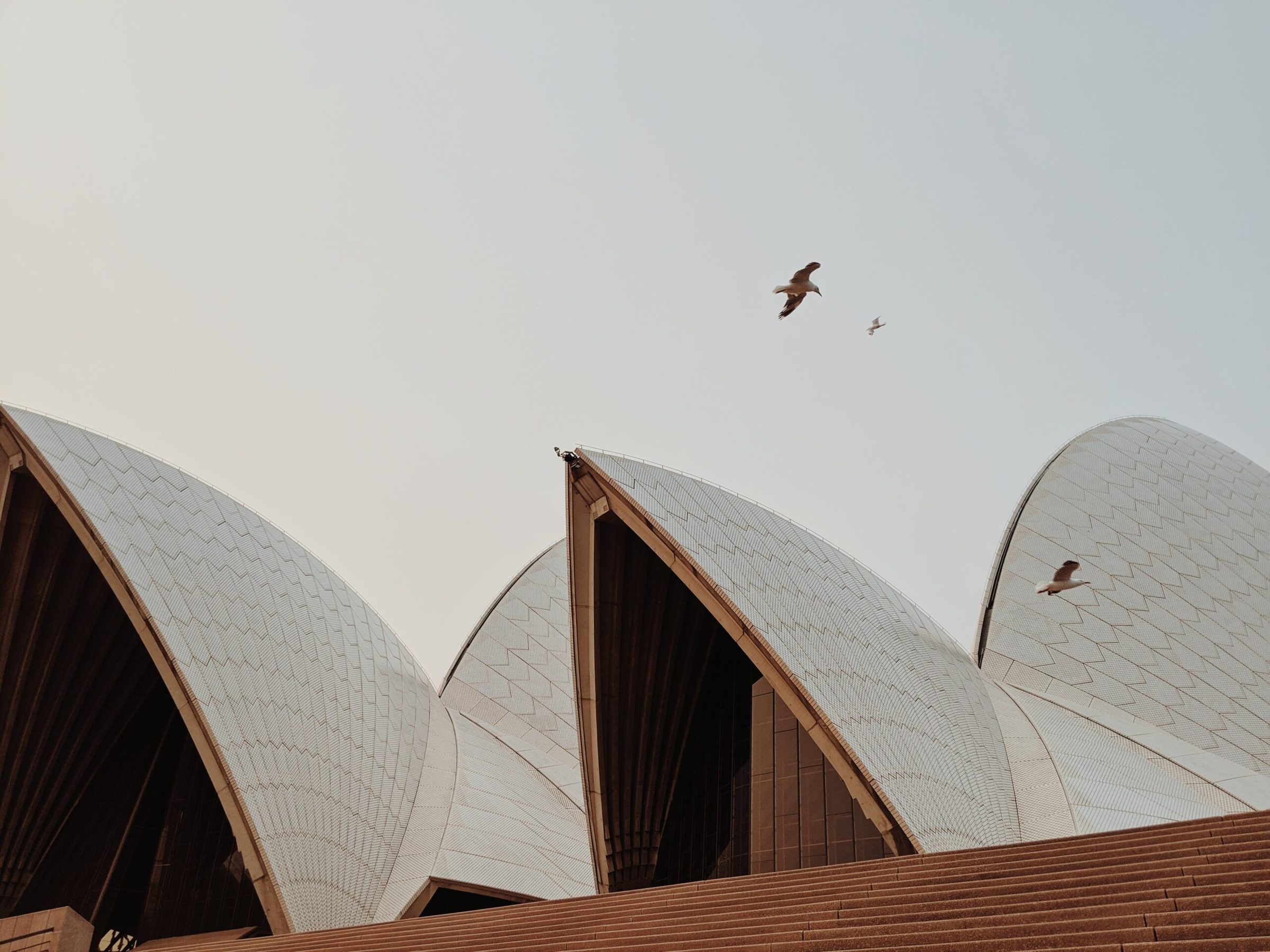 Sydney Harbour sunset